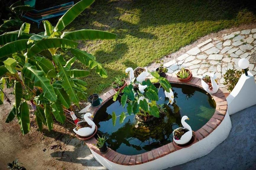 Case Vacanze Giardino 帕尔盖利亚 外观 照片